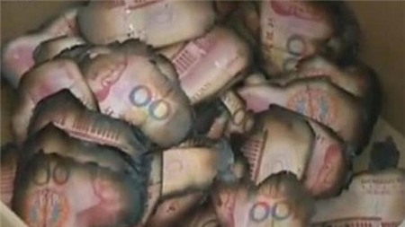 Số tiền giấy giấu trong bếp lò tàn theo ngọn lửa. Ảnh: China Daily