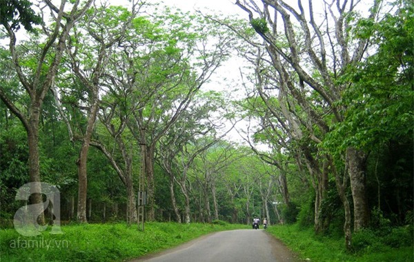 du lịch, Tam Đảo, vườn quốc gia Cúc Phương, Mộc Châu, hồ Ba Bể