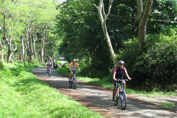 du lịch, Tam Đảo, vườn quốc gia Cúc Phương, Mộc Châu, hồ Ba Bể