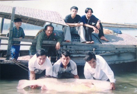 cá sú vàng, cá biển, thủy quái, trăm triệu, cá đồng, cá hô, ngư dân, cá-sú-vàng, cá-biển, thủy-quái, trăm-triệu, cá-đồng, cá-hô, ngư-dân