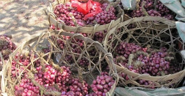 hành tím