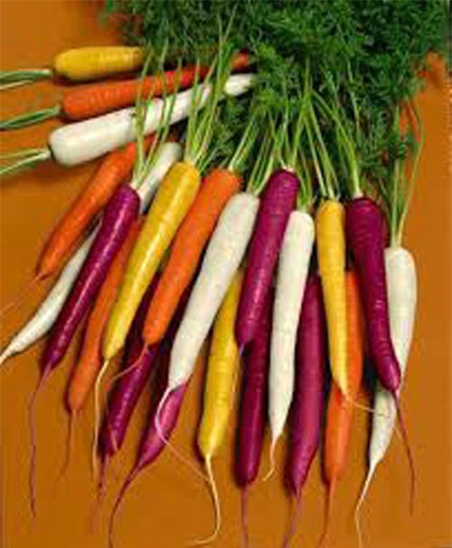 10 sự thật thú vị và ít biết về cà rốt - 2
