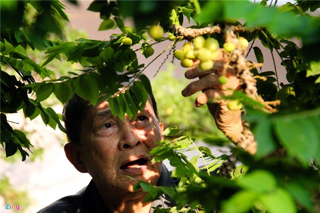 Đời thường của đại tá tình báo đặc công biệt động