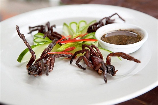 món ăn, kỳ dị, thế giới