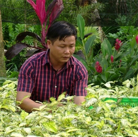 Anh Đặng Văn Thanh trở thành tỷ phú từ trồng lá cây nghệ thuật.