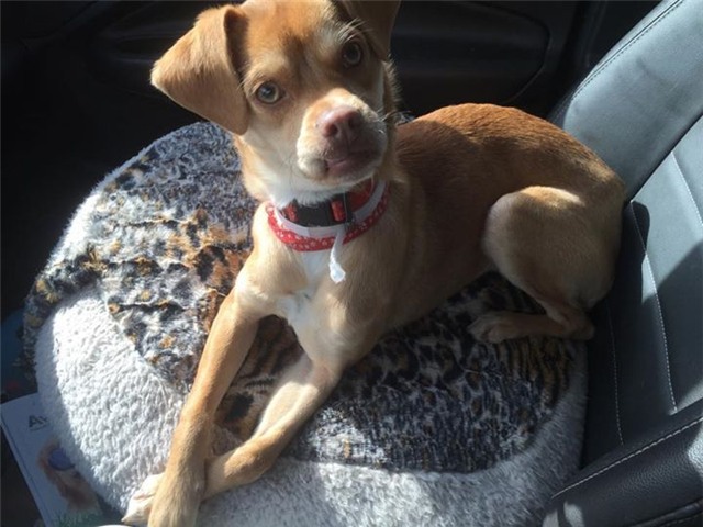 Ngay sau đó, những bức hình của Ari xuất hiện ở khắp các trang web trên toàn thế giới.