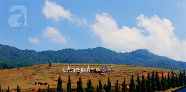 du lịch đà lạt