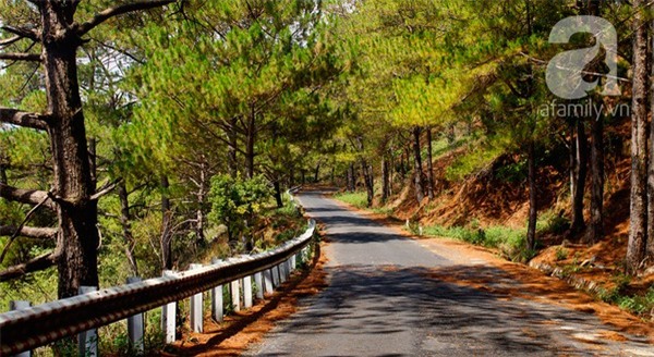 du lịch đà lạt