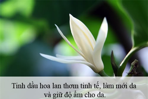 Tạo hương thơm cho cơ thể khi hè về - 1