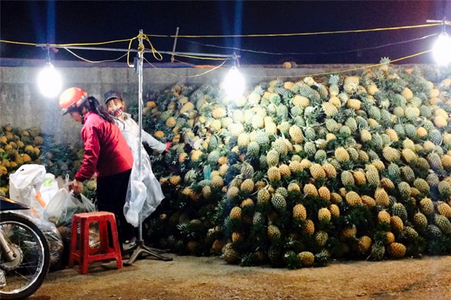 Chợ đêm, thực phẩm, nắng nóng, giá rẻ, say nắng, tiểu thương, nắng như thiêu như đốt, bà nội trợ, xé hàng bán lẻ, chợ long biên, chợ-đêm, thực-phẩm, nắng-nóng, giá-rẻ, say-nắng, tiểu-thương, nắng-như-thiêu-như-đốt, bà-nội-trợ, xé-hàng-bán-lẻ, chợ-long-biê