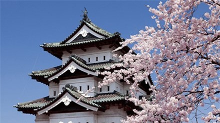 Nhật Bản là nơi nhiều du học sinh Việt Nam đến học.