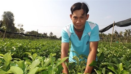 Anh Thật bên vườn cây giống của mình.