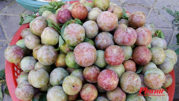 Lào Cai, mận hậu, thắng cố
