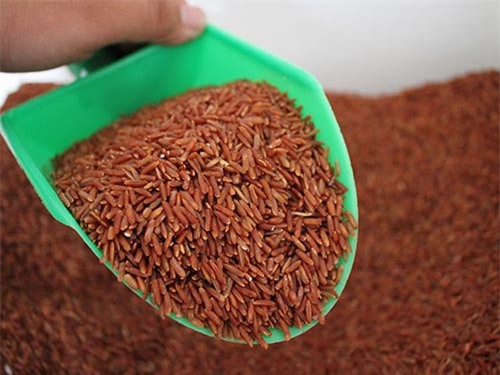 Thỉnh thoảng dùng gạo lứt muối mè chính là biện pháp giải độc
an toàn cho cơ thể Ảnh: HOÀNG TRIỀU