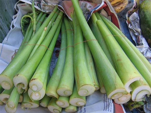 Món ăn thuốc từ dọc mùng