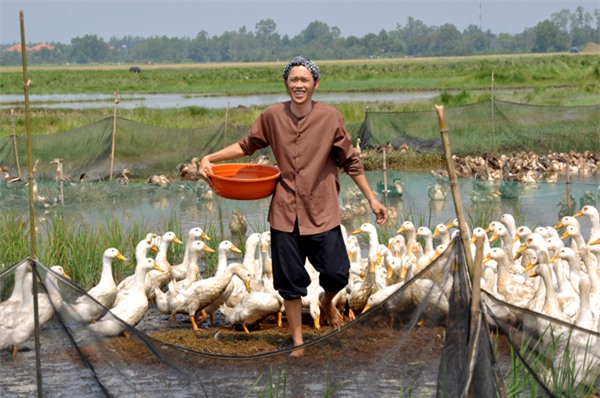 Hình ảnh nông dân chân chất của Hoài Linh đã quá quen thuộc với khán giả Việt Nam.