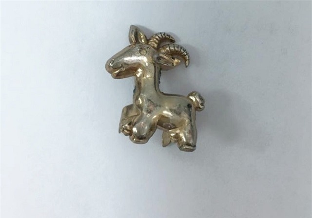 Con dê bằng kim loại lấy từ trong thực quản bệnh nhi. Ảnh: BSCC.