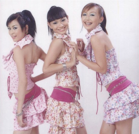 Hoàng Thùy Linh - Nhóm Thiên thần: Trước khi gặt hái được thành công với vai trò ca sĩ solo, giọng ca sinh năm 1988 từng là thành viên của nhóm nhạc Thiên Thần cùng với Trà My Idol và Trà My Angel. Sau 3 năm hoạt động, 3 cô gái nói lời tạm biệt khán giả và chọn cho mình hướng đi riêng và có những thành công nhất định. Nổi bật nhất phải kể tới Hoàng Thùy Linh.