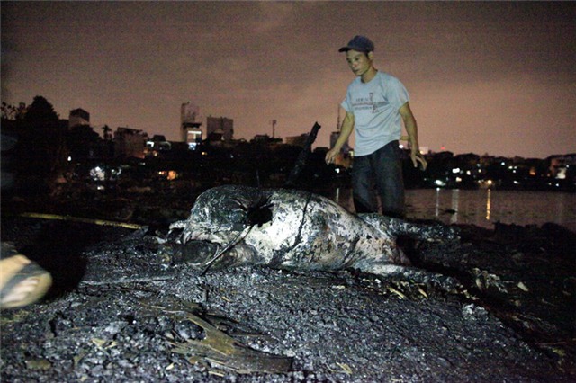 khu ổ chuột; Hà Nội; Linh Quang; cháy