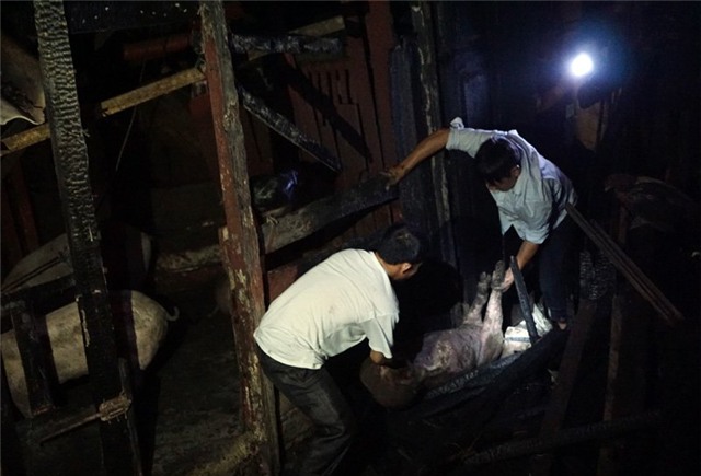 khu ổ chuột; Hà Nội; Linh Quang; cháy