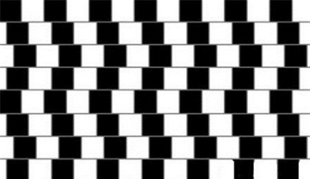 tính cách, con người, trắc nghiệm