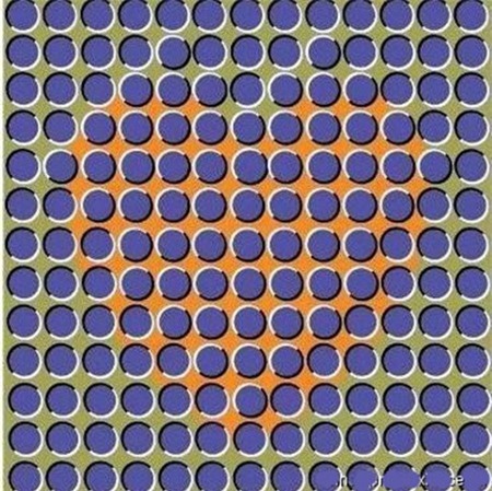 tính cách, con người, trắc nghiệm