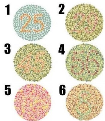 tính cách, con người, trắc nghiệm