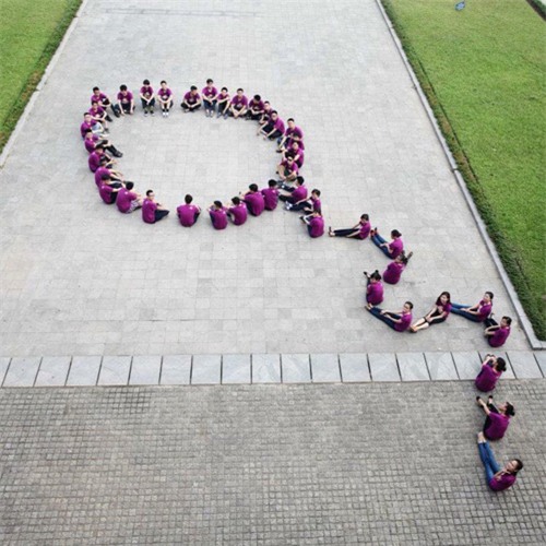 Sinh viên xếp hình