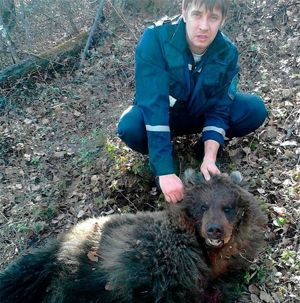 Kinh hoàng người phụ nữ bị chôn sống làm mồi cho gấu - Ảnh 2