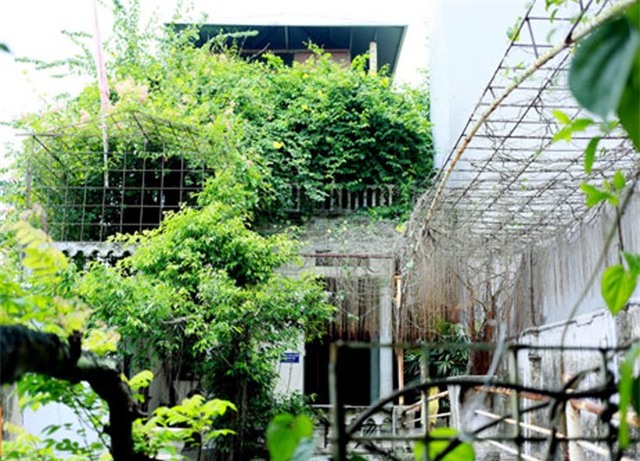 Một ngày bận rộn của Giang Còi