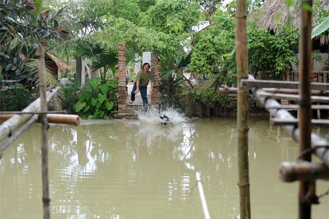 Một ngày bận rộn của Giang Còi