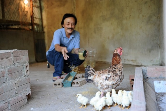 Một ngày bận rộn của Giang Còi