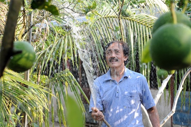 Một ngày bận rộn của Giang Còi