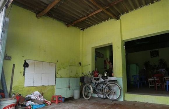 Sao Việt nuôi cả gia đình 11