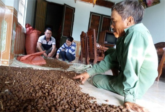 Đại lý thu mua nông sản N.L còn hơn 500 kg hạt ươi nhưng chưa chịu bán.