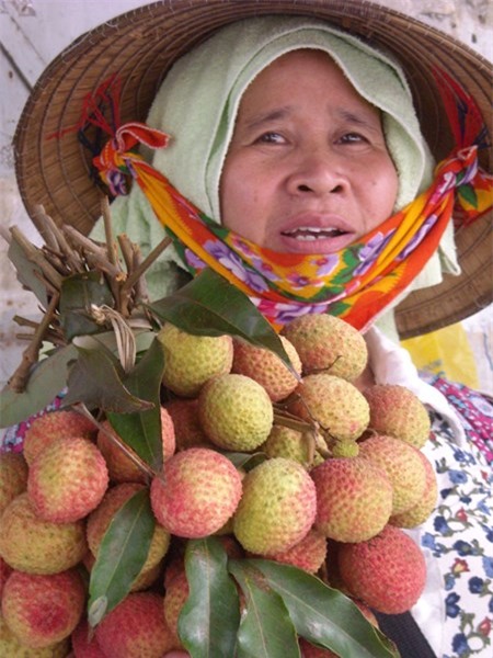 Vai dau mua: Gia giam mot nua chi trong mot tuan