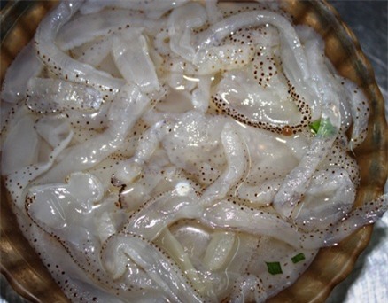 sứa biển