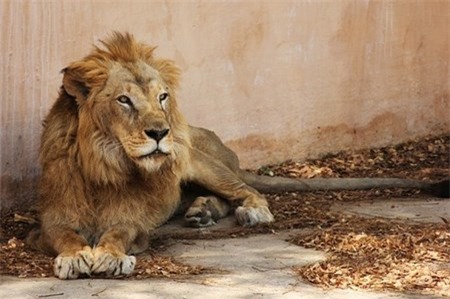 Trung Quoc: Su tu giet nguoi roi song chuong