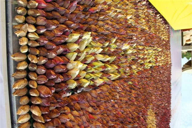 Bác Hồ; bức tranh; kỷ lục