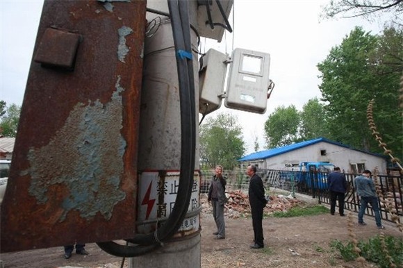 Xót lòng cảnh lợn chết ngổn ngang do điện giật 1