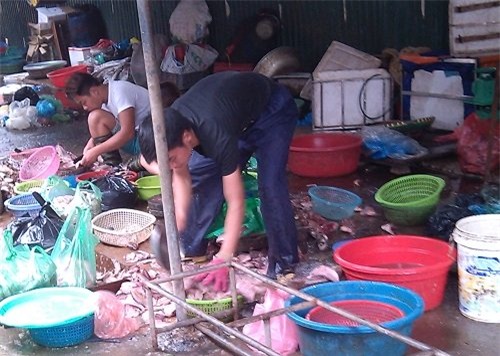 cá thối, thực phẩm bẩn