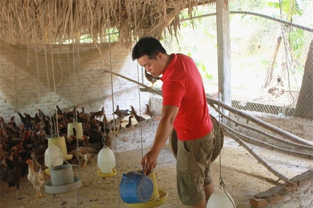 Trang trại chăn nuôi gà, lợn sạch của Hải đang cho doanh thu 7 tỷ đồng/năm. Ảnh: Cường Ngô.