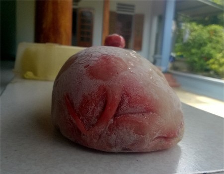 Thanh Hóa; lợn đầu gà