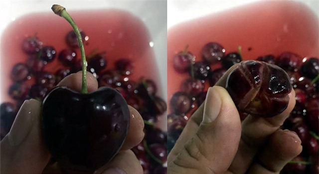 cherry, quả cherry, nhập khẩu, cherry Mỹ, cherry Úc, Trung Quốc, nứt toác, phai màu, ngộ độc, quả-cherry, nhập-khẩu, cherry-Mỹ, cherry-Úc, Trung-Quốc, nứt-toác, phai-màu, ngộ-độc