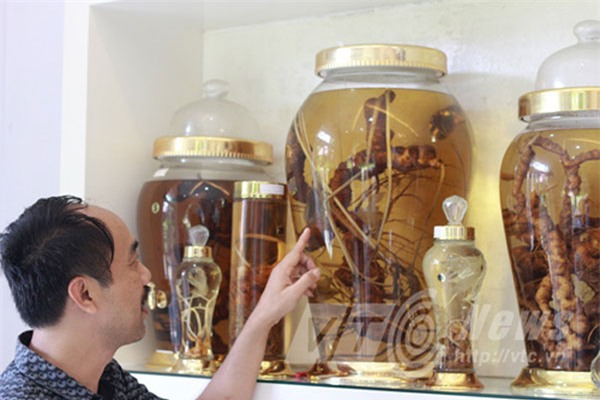 rượu sâm, đại gia đà nẵng, rượu quý, kho rượu, hội sâm việt nam