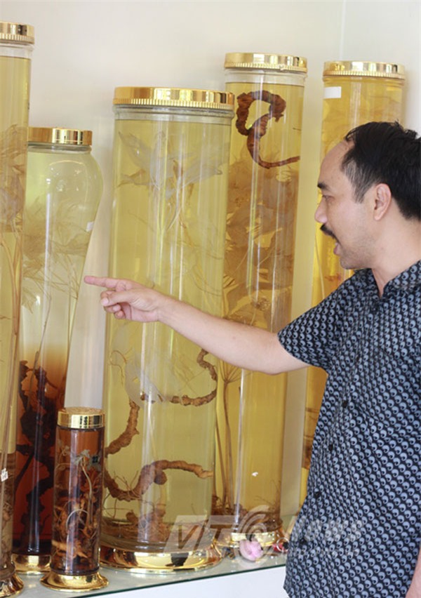 rượu sâm, đại gia đà nẵng, rượu quý, kho rượu, hội sâm việt nam