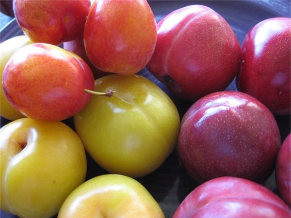 Những mối nguy hại cần biết khi ăn một số loại trái cây mùa hè - 1