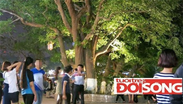 Bán dâm, trẻ em, nuôi ăn, tha hóa, xâm hại