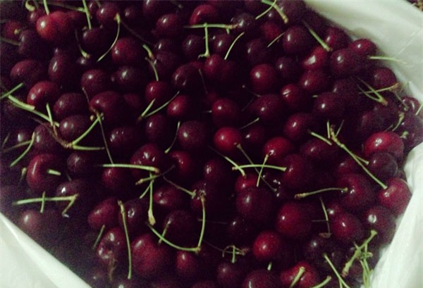 Cherry ngoại, nhập từ Úc, Facebook, ăn cherry,