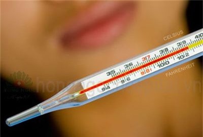 Cặp nhiệt độ thủy ngân